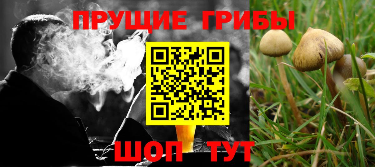 Псилоцибиновые грибы ЛСД Белово