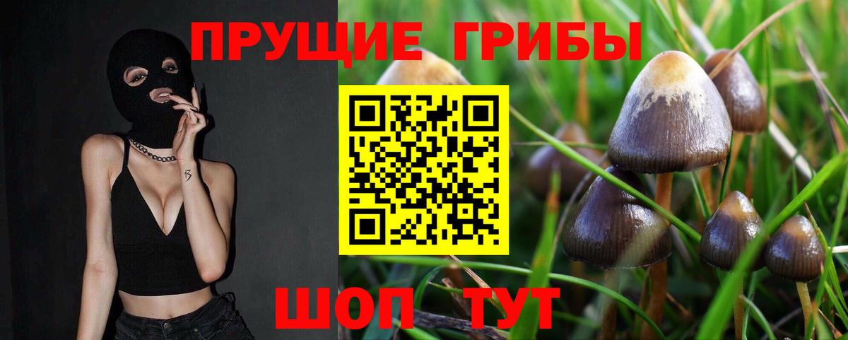 Белово  Галлюциногенные грибы GOLDEN TEACHER  Галлюциногенные грибы Psilocybine cubensis  цена   Вход с VPN 