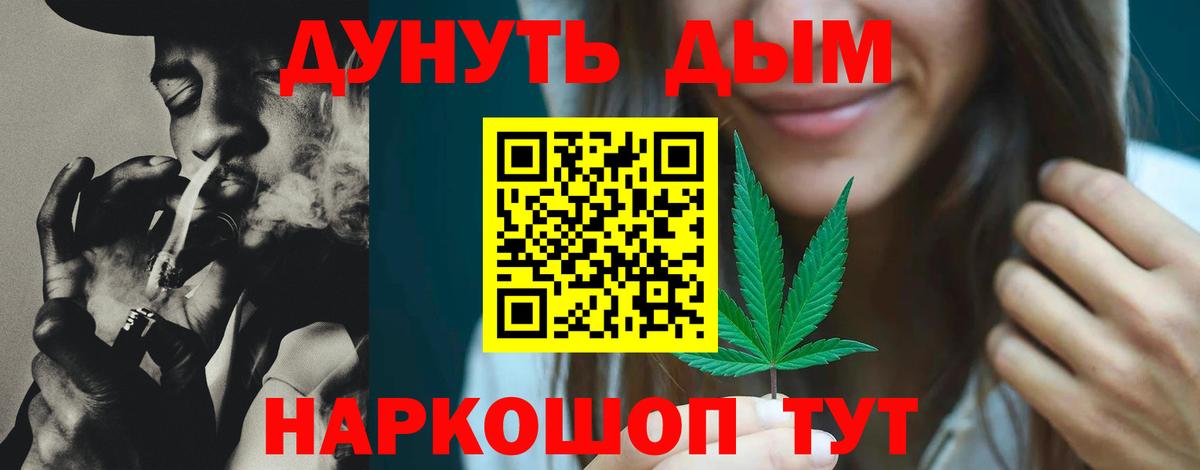 Конопля сатива Белово